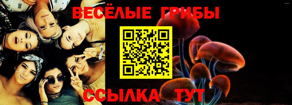 Галлюциногенные грибы MAGIC MUSHROOMS Астрахань